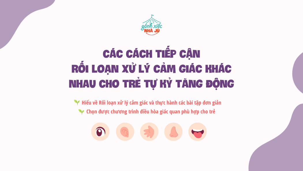 Các cách tiếp cận Rối loạn xử lý khác nhau cho trẻ tự kỷ, tăng động